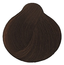 6.3 dark golden blonde