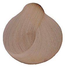 9.3 light blond golden